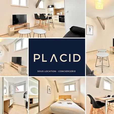 Апартаменты Le Ronsard - Elegance - Мон-де-Марсан